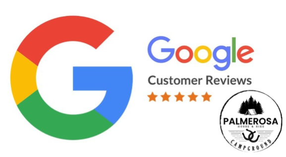 Google Reviews